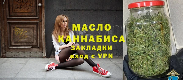 дмт Болотное