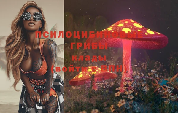 прущая мука Осинники