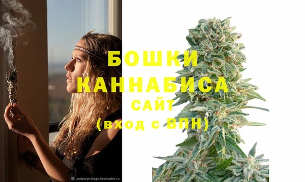 ECSTASY Остров