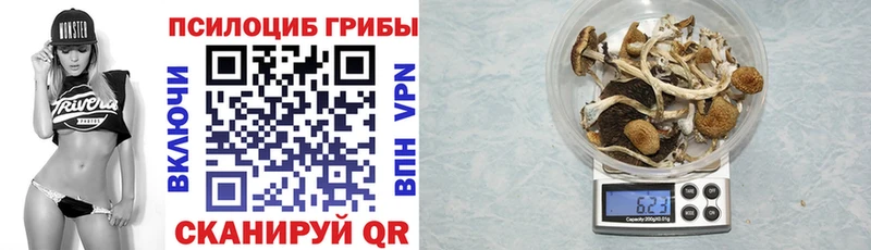 Псилоцибиновые грибы Psilocybine cubensis  наркота  OMG ТОР  Иноземцево 